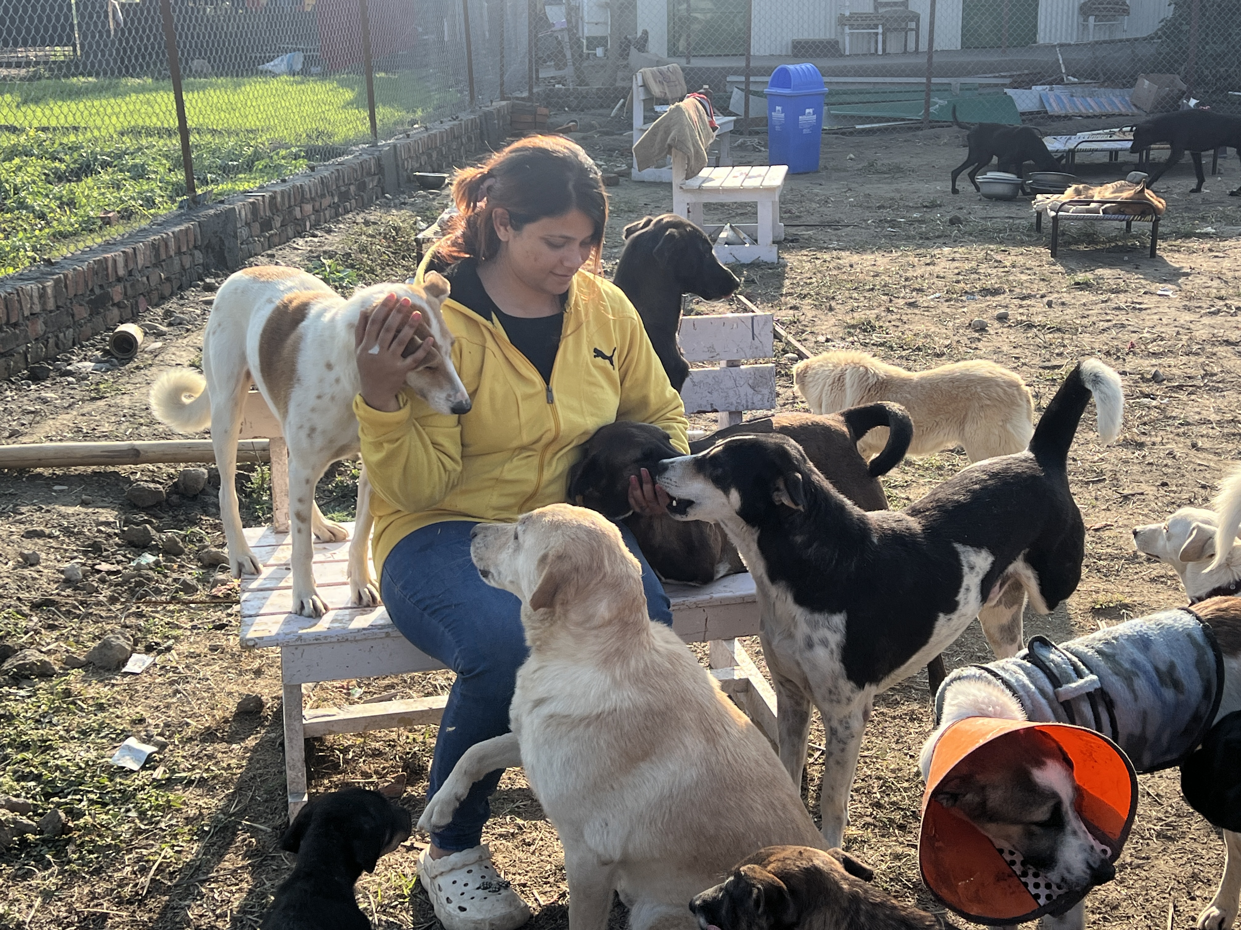 Shelter's Monthly Expenses